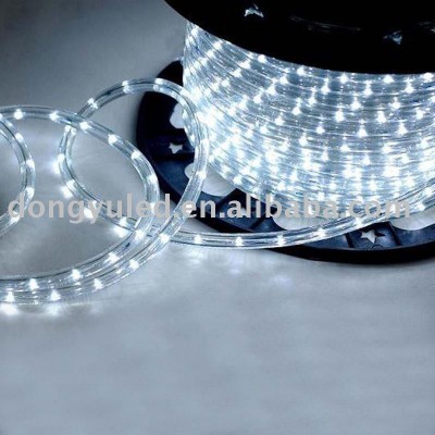 Round 2 Wire LED Rope Light color with white